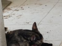20170305 102442
