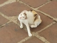 20170322 111349