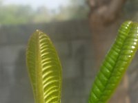 20170308 144125