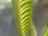 20170308 144130