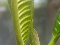 20170308 144133