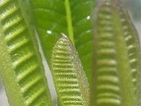 20170308 144144