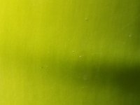 20170308 144422