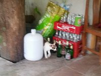 20170314 183109