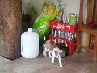 20170314 183110