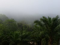 20170315 074623