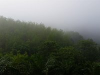 20170315 074627