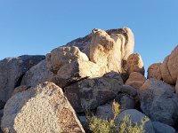 20190103 151836