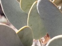 20190104 121415
