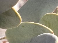 20190104 121416