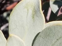 20190104 150944
