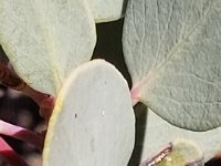 20190104 150950