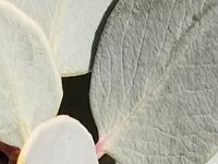 20190104 150952