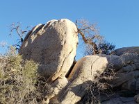 20190104 151352