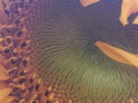 2014-07-17 19-53-12 1