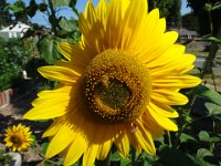 2014-08-10 11-14-16 1
