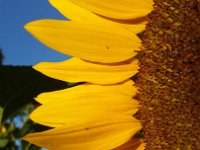 2014-09-07 08-28-35 1