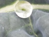 20151018 114854