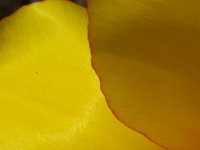 20160403 121912