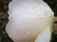 20161001 095617