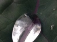 20161029 104737