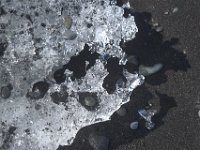 DSC 1383
