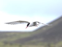 DSC 1691