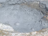 DSC 1321