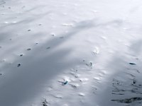 DSC 2731