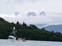 DSC 3515