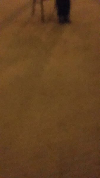 2016-09-24-benaroya-1